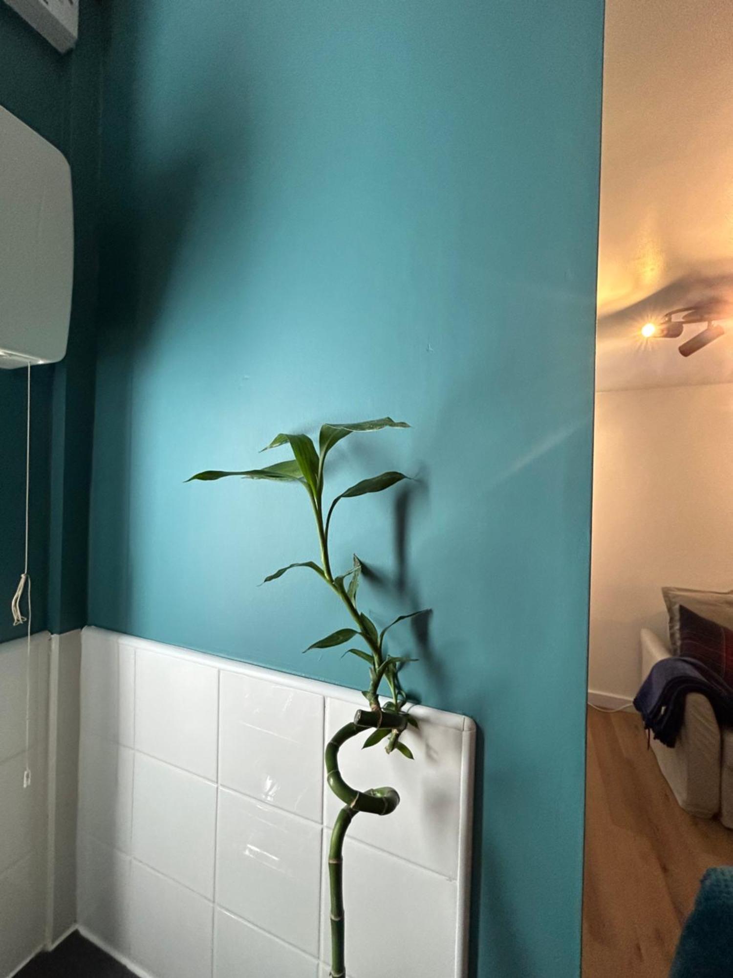 לידס Woodhouse Apartment מראה חיצוני תמונה